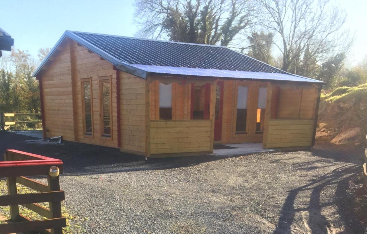 Red Robin Nest Apartment Galway Exterior photo